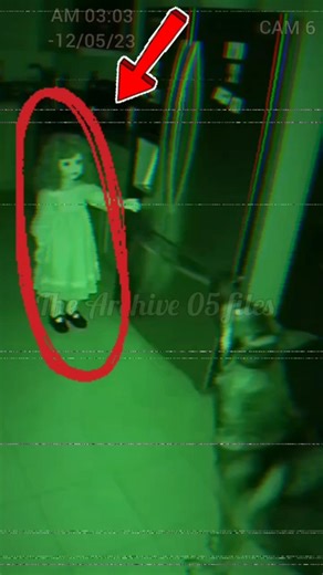 Paranormal Activity in the Kitchen. (CCTV Evidence).