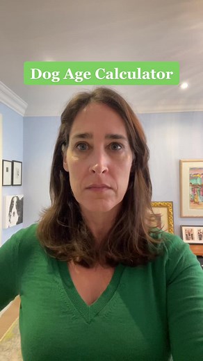 Dog Age Calculator: How to Determine Your Dog's Age Easily