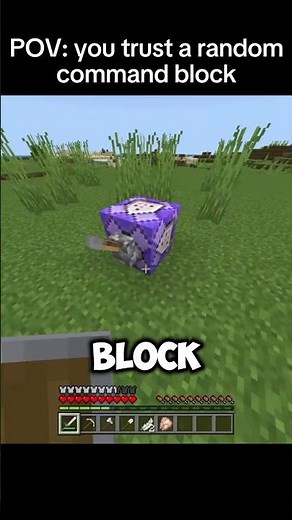 I Trusted Random Command Block In Minecraft