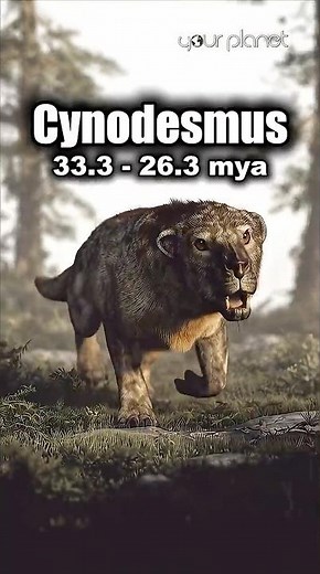 The Evolution of Dogs | Your Planet #dogs #theevolution