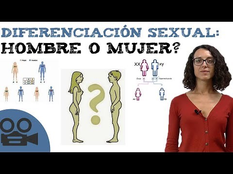 Sexual differentiation: male or female?