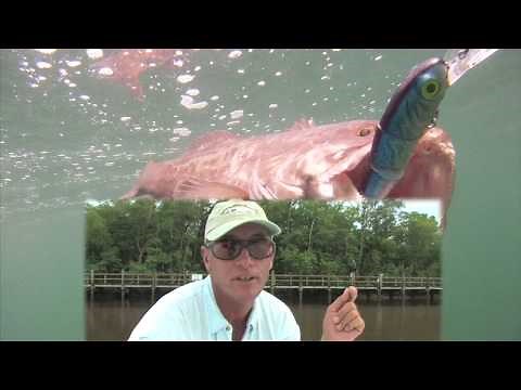 How To Fish - Grouper Trolling