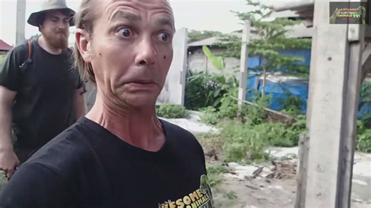 Night search for deadly krait species