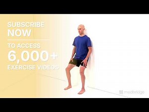 How to Do a Wall Quarter Squat | Medbridge