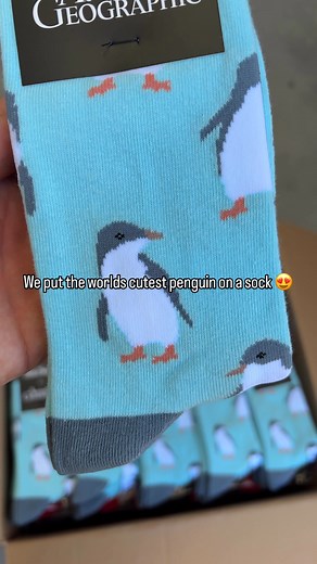 Meet the newest cutie in our wildlife lineup… Fairy Penguin Socks made in partnership with Australian Geographic! These tiny cuties are the smallest penguins on Earth, growing only about 30 centimetres tall Each pair supports Australian conservation projects, so your feet stay warm while doing real good. Fun fact: Fairy Penguins mate for life and return to the same nest every year. Couple goals. Stock is limited for this launch so grab yours before they waddle away! 🧦 1 pair = supports conserva