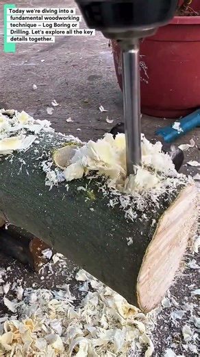Log Boring/Drilling in Woodworking: Full Educational Guide