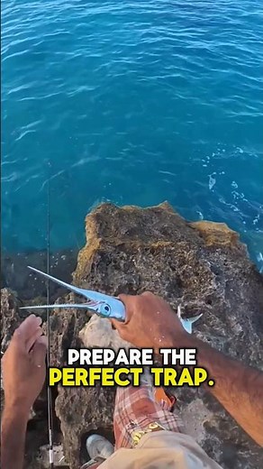 Unbelievable Fishing Luck! 😀 Catching Big Fish Challenge – You Won’t Believe What Happened Next!