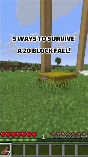5 Ways to Survive a 20 Block Fall in Minecraft! 😱
