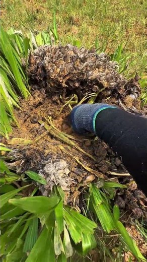 You won’t belive it when you see what i found...📯