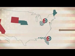 How exactly do the US elections take place? Here's the step-by-step process