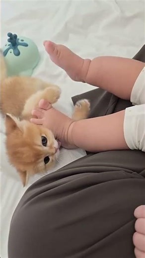 Kitten Playing with Baby’s Feet 🐱👶💛 (Too Cute!)