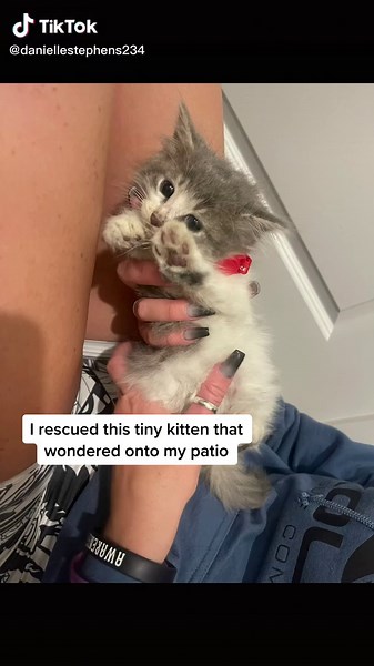 Penny is always so dramatic 💖🤷🏼‍♀️ #dogtok #blacklab #dogsofttiktok