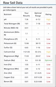 First Soil Test- DFW Bermuda