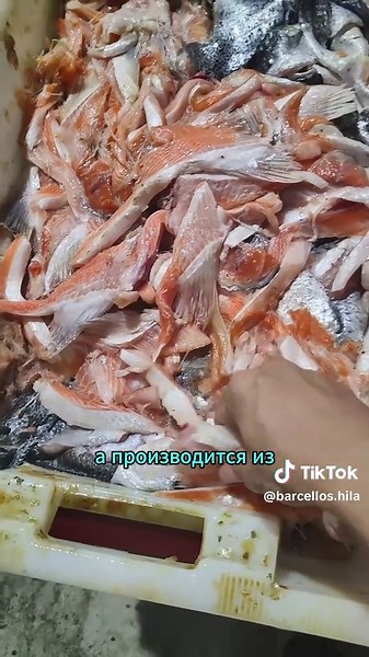 Understanding the Benefits of Fish Oil Supplements