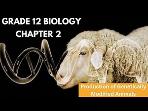 Grade 12 Biology: Chapter 2 - Production of Genetically Modified Animals
