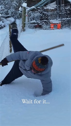 Foxes Afloat | Tell me your winter’s going well without telling me. 😂 | Instagram