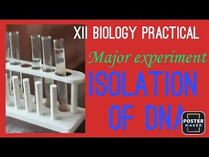 Biology practical dna isolation| biology practical class 12