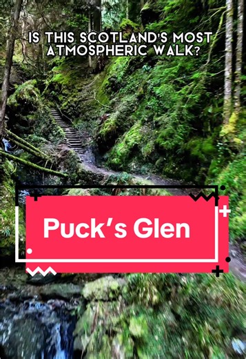 Location below… 📍Pucks Glen, Dunoon Is this Scotlands most atmospheric walk? A walk along a dramatic gorge with towering Douglas fir trees, passing multiple wooden bridges and waterfalls. #scotland #explorescotland #travelscotland #visitscotland #walkhighlands #walkscotland #hiddenscotland #scottishadventures #scenicscotland #pucksglen #dunoon #scottishglens