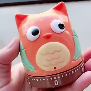 Cute Time Manager, Kitchen Timer for Cooking, Learning Reminder, owl