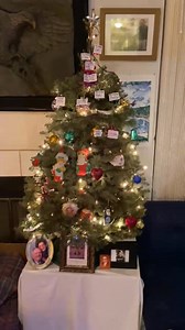 I got tongue tied here cuz I am so thrilled! The tree came alive after I finished decorating! Oh my! Tears!♥️💚🙏🫶👌🌟 | Jan Drake Bakke