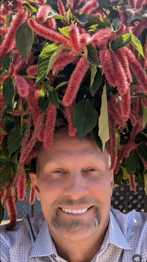 #dreads #dreadlocks | Epper Hammer