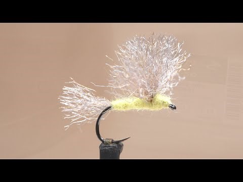 PMD Trigger Point Usual