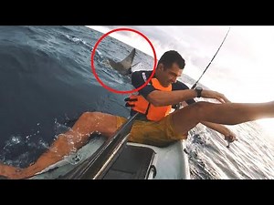 6 Shark Encounters That Will Give You Nightmares