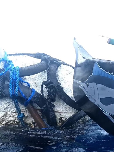 #fishhunting🎣🐠🐠🐠🎏