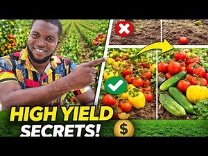 Modern Vegetable Farming: Techniques For High Yield And Profit