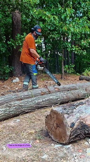 Measuring the Log: How a Chainsaw and a Simple Gauge Turn a Tree into Sized Timber