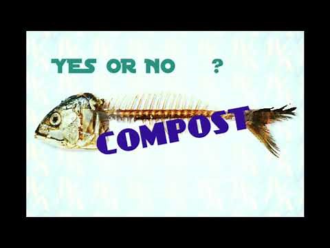 Add Fish To Compost. How to With These Tips