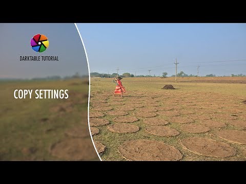 Copy the settings from one image to another | Darktable Tutorial