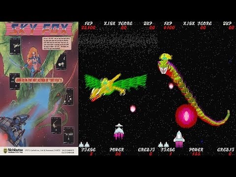 SKY FOX - Exerizer (Jaleco 1987) First 5 Stages Arcade Gameplay No Miss - Exerion Sequel Video Game