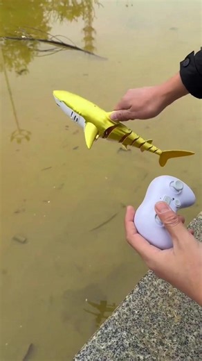 Remote control Sharks speed racing 😱😱 #shortsfeed