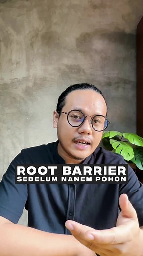 Pentingnya Pasang Root Barrier untuk Melindungi Bangunan dan Pohon