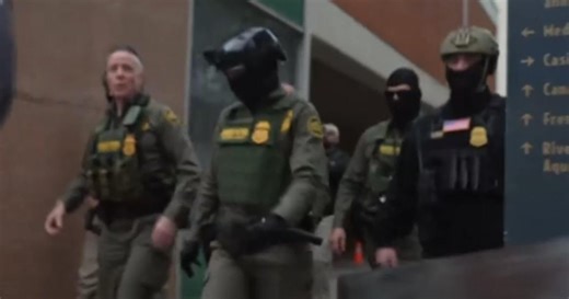 Over 250 people arrested since New Orleans immigration crackdown, DHS says