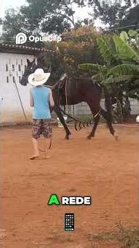 Horse Training: Secrets to Successful Training! 🐴✨