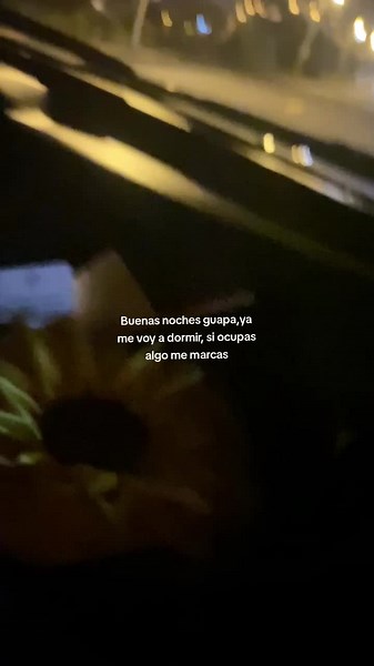 #fyp #dimax #real #bro🦁✈️❕