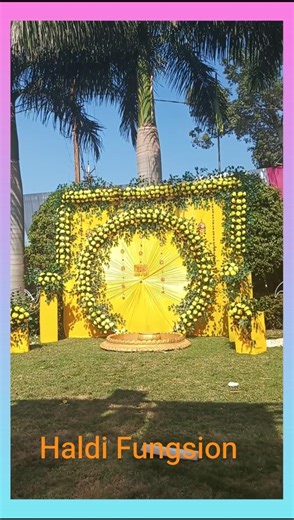 Haldi Fungsion#shortvideo