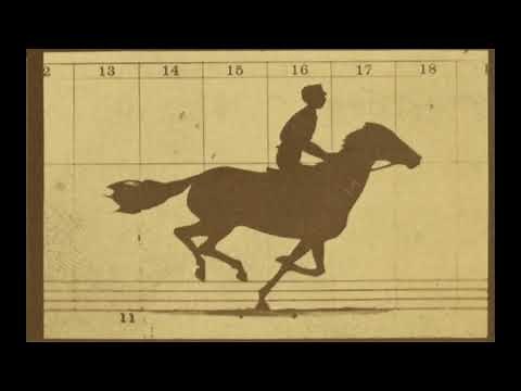 1878 - Sallie Gardner at a Gallop - Eadweard Muybridge