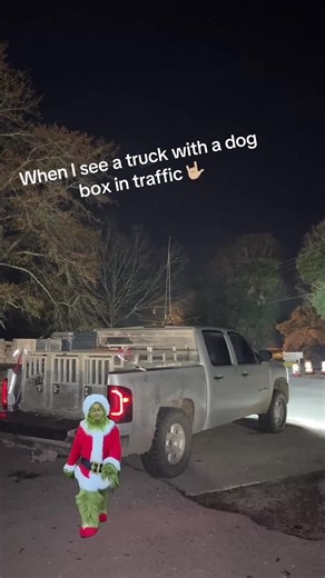 Hilarious Dog Truck Meme: What's Popping, Mister Grinch?