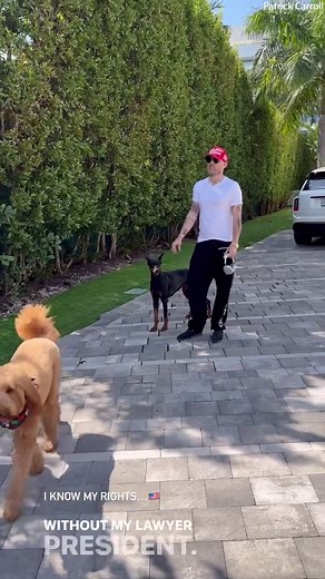 Cops investigate Patrick Carroll after 'hearing gunshots at his home'