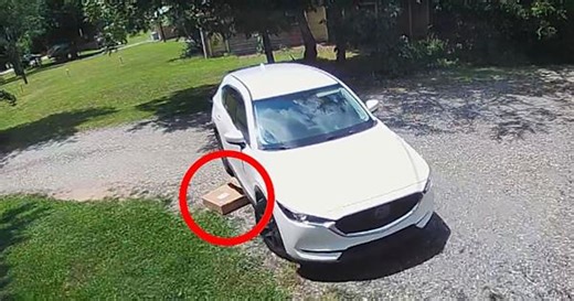 Bungling Amazon driver runs over package moments after 'delivery'