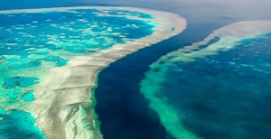 Take a virtual tour of the Great Barrier Reef guided by David Attenborough | News