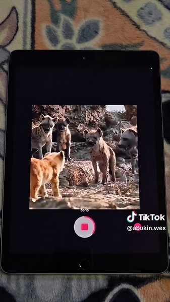 ABUKIN WEX⚡ على TikTok