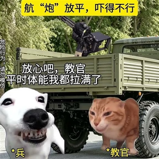 教官，机枪后座力能有多大？我擦，这么大！ #搞笑 #猫meme #反转 #离谱操作 #万万没想到