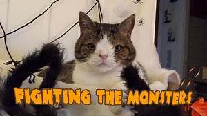 Halloween is here and so are all the monsters! 👻💀🕷🎃 Hurry up and adopt a cat so you can be protected! 😀 #AdoptACat #Halloween #Meowloween | Monty