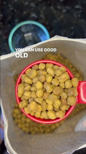 Do I need to add water to my dog’s food?