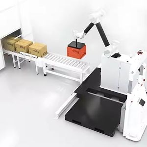 [Hot Item] Packing and Stacking Robot Palletizing System Stacking Collaborative Automatic Multi-Degree Robot Arm Robotic Palletizer
