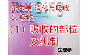 《生理学》消化21-吸收的部位及机制